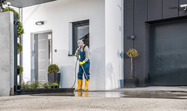 Best Driveway Pressure Washing  in Temecula, CA